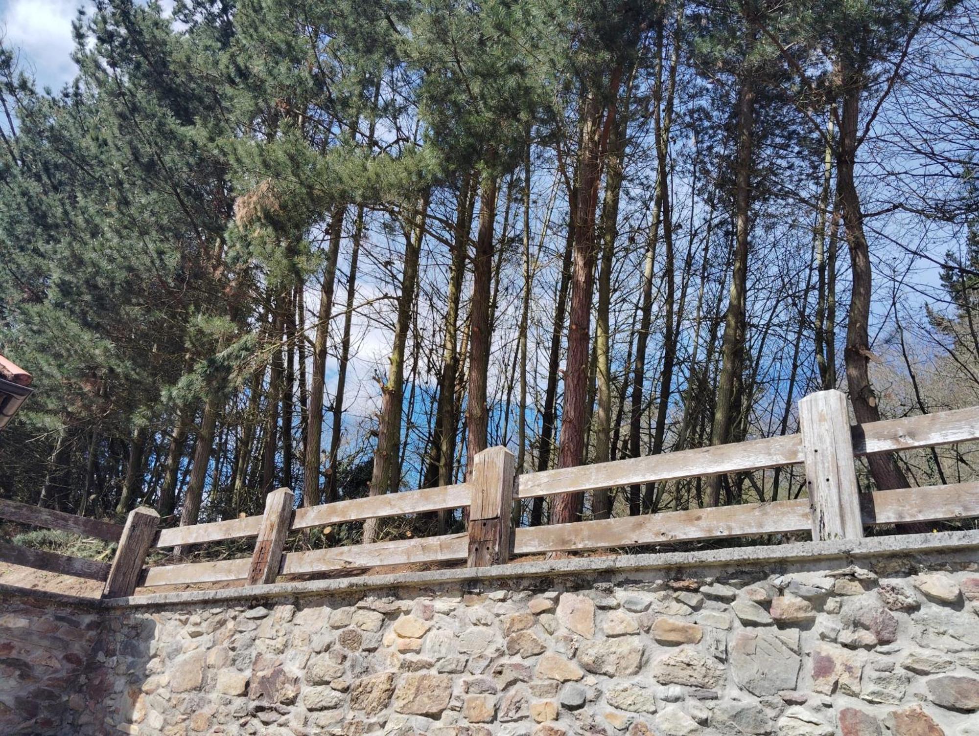 Hotel El Nuevo Semellon Aceptamos Mascotas Tineo Exterior foto